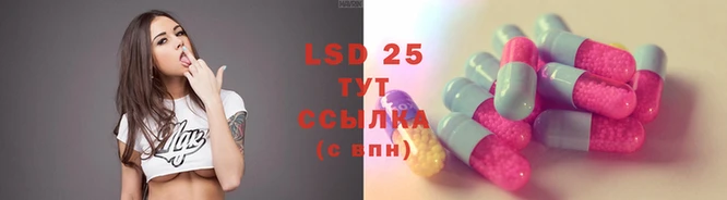 PSILOCYBIN Бугульма